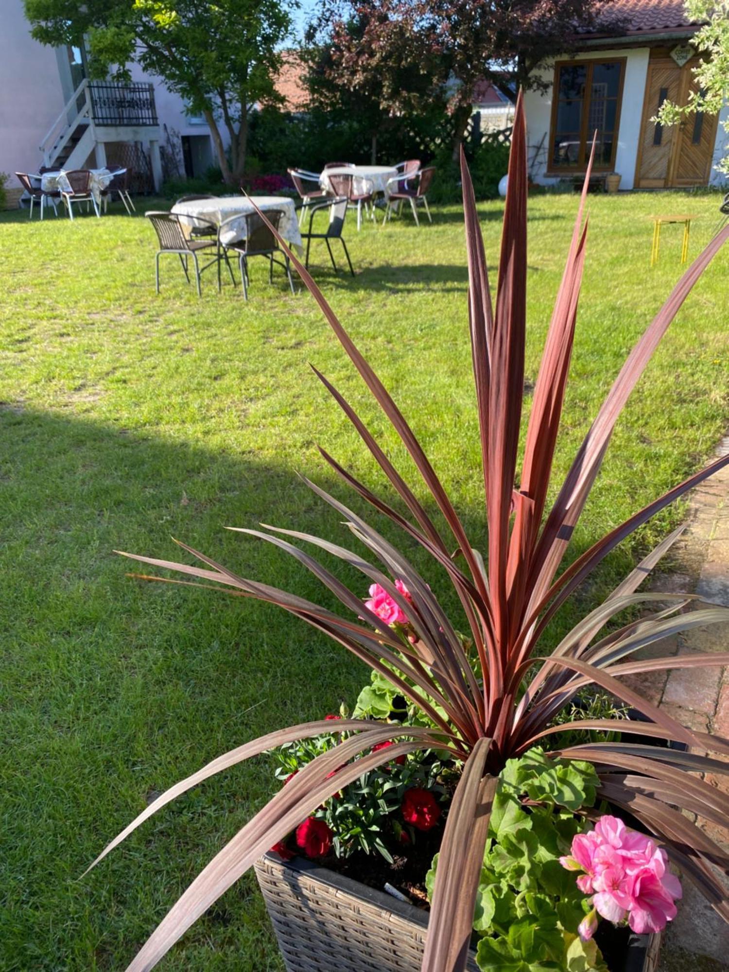 Guest House Wiejska Sielanka Brody  Luaran gambar