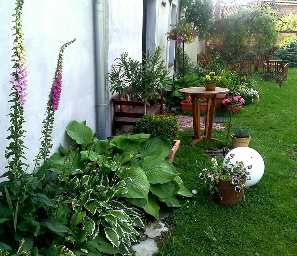 Guest House Wiejska Sielanka Brody  Luaran gambar